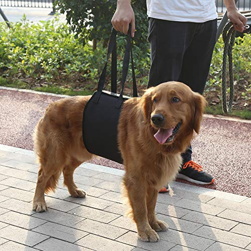 Cintura ausiliario per gli animali di compagnia imbracatura classico di sollevamento per gli animali Anziani o malato di cane a salire e scendere delle Scale, entrare e uscire dei veicoli