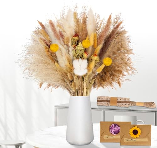 absolove Natürliche Pampasgras Deko 49 Stück,Getrocknete Boho Trockenblumen Pampasgras,DIY Trockene Blüten Strauß,Schilfstrauß mit Briefumschläge,Band,JuteSchnur für Boho Wohnzimmer-Schlafzimmer