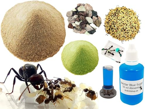 Kit Reemplazo -【Hormigueros de Arena】 -1kg - Néctar 50ml- Colonia de Hormigas Gratis, Piedras Decorativas - Semillas - Kit Alimentación Completa Incluida