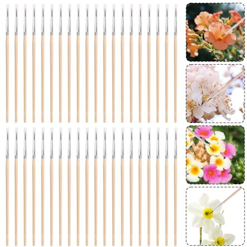 40pcs Brosses de Pollinisation, Brosses Pollinisation Bois Poils en Nylon avec Housse en Plastique pour Culture Hydroponique Fleurs Légumes