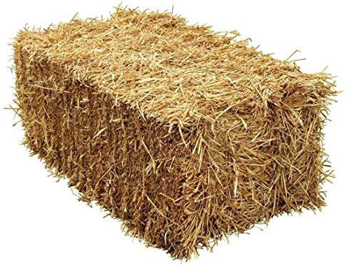 M-Import Súper Bio Paja Aprox. 3KG 100l - Gerstenstroh De Balas de Paja,Alimentación Y Einstreue Cobaya Conejo Conejos En Uno - Frescas Cosecha 2020