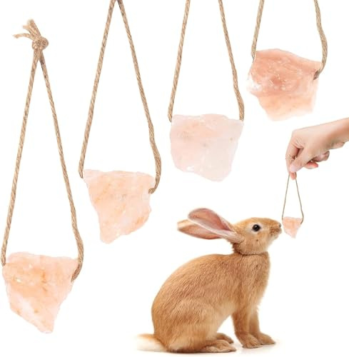Blocco di sale naturale dell'Himalaya su corda, per piccoli animali, sale minerale, giocattoli da masticare con corda, forniture per porcellini d'India, conigli, furetti (2 pezzi)