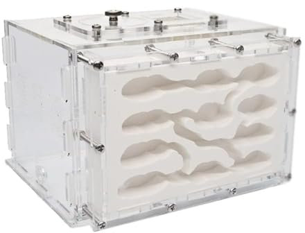 Ameisenfarm Formicarium Ameisennest-Farm DIY Gips Ameisenfarm Gips Ameisennest Mit Fütterungsbereich Befeuchten Ökologische Ameisenwerkstatt Ameisenfarm für Draußen(L)