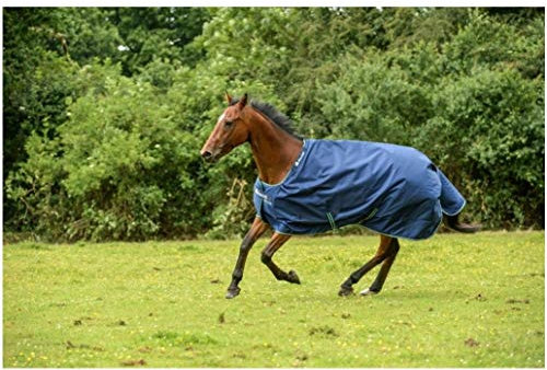 Bucas Regendecke Light Stay-Dry SMARTEX RAIN blau 165cm + Hufkratzer Reiterladen24.de