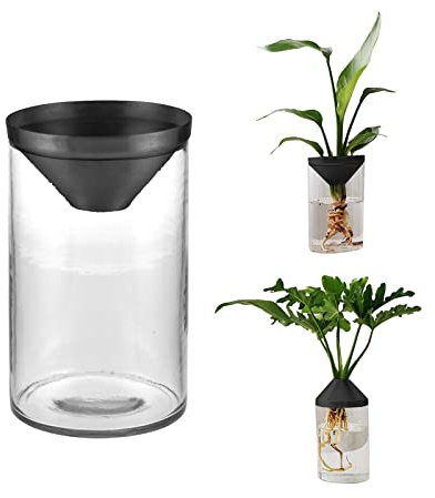 Vaso per fiori con albero di avocado, vaso per vasi per vasi di avviamento, vaso per piante di avocado in vetro, kit per la coltivazione di alberi di avocado, vaso idroponico per semi