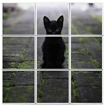 Fabulous Lot x9 Carreaux Céramique Décoratif 15,2 x 15,2 cm - Chatons Bebe Chat Noir Rue Pave Mignon Yeux Bleu (Taille totale 45,6 x 45,6cm)