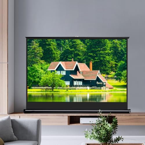 Projektorduk, 16:9/4:3 hemmabio, projektorduk, manuell projektorskärm för hemmabio, camping och fritidsevenemang, bärbar filmduk, bärbar projektionsduk (16:9,30 tum)