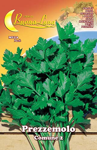 10PZ SEMI ORTO PREZZEMOLO COMUNE 2