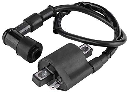 Bobina di Accensione per Moto, Bobina Accensione Ignition Coil Sostituzione Spark Coil per ATV Dirt Pit Bike Scooter Go-Kart Ciclomotore Ccooter 150CC 200CC 250CC