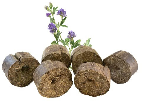 LAX Wiesenprodukte Luzerneblöcke mit Loch für Pferde I Nachfüllpack für Spielseile I Gesunde Raufutter Snacks aus 100% Luzerne (12,5 kg Pack, Luzerne)