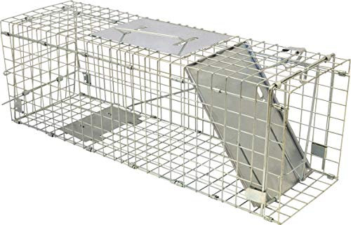 St Helens Home & Garden Collapsible Live Animal Trap - Ideal for catching rabbits, squirrels and similar sized animals, humane trap