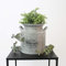 Deko Milchkanne 'Vintage Garden' Ø21xH23cm Zink Grau - Milchkrug Milchkännchen Dekokanne