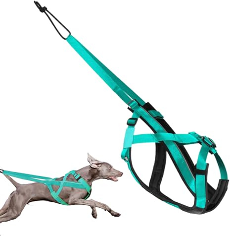 Dog Dragsel - Reflekterande Löparsele För Hund,Justerbar Sele För Träning Sport Promenad Skridskoaktiviteter Utomhus Släde