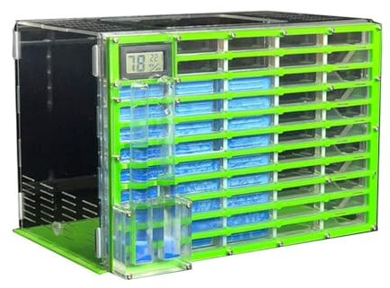 Ameisenfarm Formicarium Ameisenfarm Professionelle Große Ameisenfarm Aus Acryl Mit Futterbereich Großes Ameisenhaus Ameisennest Villa 11 Schichten Ameisenfarm für Draußen(Grün)