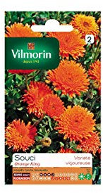 Vilmorin