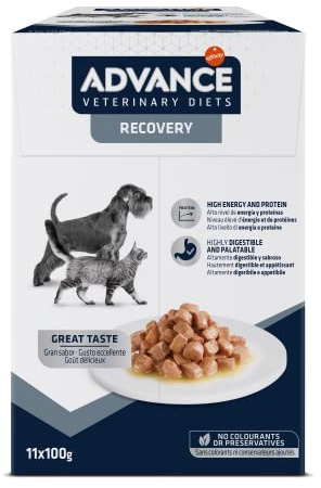 Advance Veterinary Diets Recovery Nourriture Humide pour Chats et Chiens: Multipack 11 sachets 100g