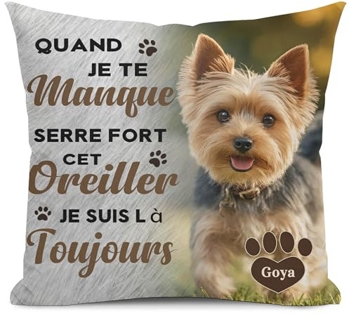 Alienc Coussin Souvenir Personnalisé Chien ou Chat avec Photo et Prénom – Cadeau Décès Animal, Housse de Coussin Mémoire, Perte de Chien ou Chat, Cadeau Condoléances Personnalisé