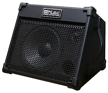Coolmusic 40W Portable Acoustic Guitar Amplifier(Amp) with Bluetooth, 3-Year Warranty, Built-in Reverb & EQ