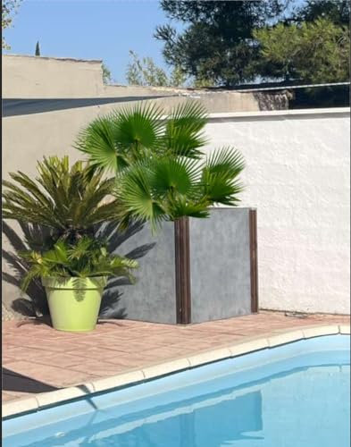 A B Pool ABP Lilijardi Blumenkasten, Höhe 100 cm, Pfosten, Holz, mit Hut, Pyramide, Farbe: Grau/Blau – B 100 cm x L 100 cm