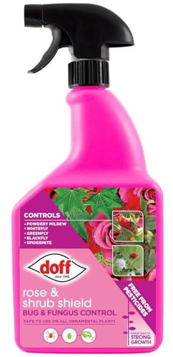 Doff Rose Shield Bug & Fungus Control Spray 1 Litre | Pesticide Free Plant Protection Spray for Roses & Ornamental Plants | Added Feed for Strong Growth