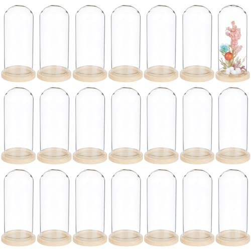 BENECREAT 30PCS Glass Display Dome, 3x7cm/1.2x2.8inch Bell Jar Display Case, Decorative Glass Dome with Wooden Base for Tabletop Centerpieces Collectible Candles