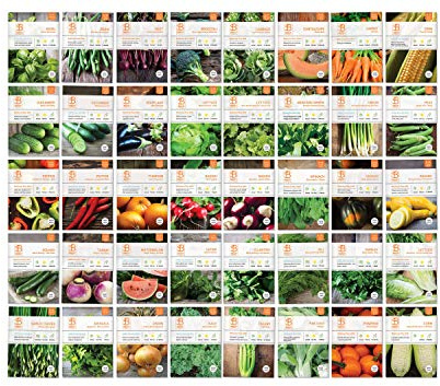 Vegetable and Herb Seeds Variety Pack for Home Garden Planting, AB