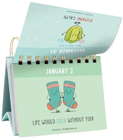 2026 Funny Motivational Desk Calendar, 2026 Daily Pun & Joke Desk Calendar with Inspirational Quotes, Tear-Off Pun For The Day Calendars For Home Offices