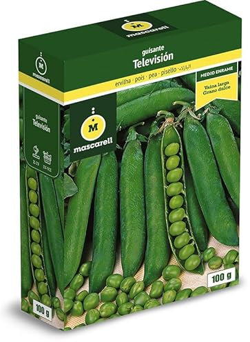 Mascarell Semillas, GUISANTE TELEVISIÓN, Semillas Leguminosas, Fácil de Cultivar en Casa, 100 G.