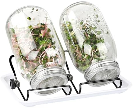 vreplrse 2 - Kit de Germination, Pot en Verre avec Support, Couvercle en Acier Inoxydable, Plateau Blanc, Bouteille pour l'école à Domicile