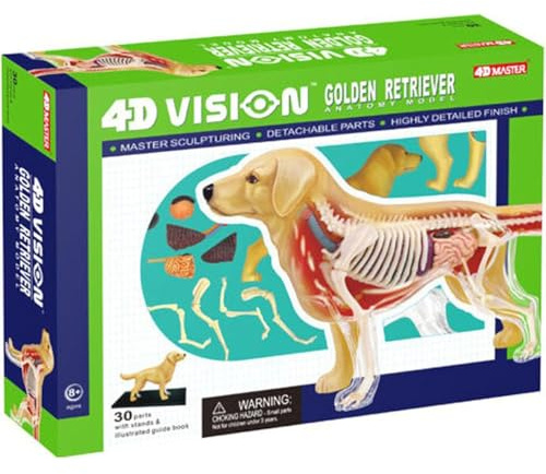 4D Vision Golden Retriever hundben skelett- och anatomi-modellkit Intelligensbyggleksak undervisningsmodell, 30 löstagbara organ och kroppsdelar, 21X13X5,5 cm