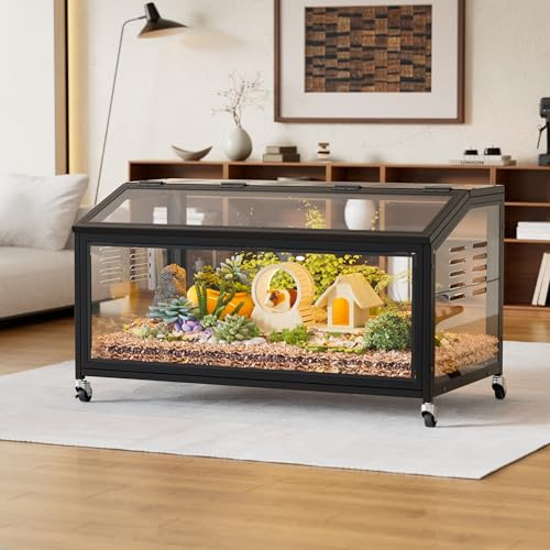 MSFE Cage pour Hamster à roulettes, 100x51x50cm Habitat Rongeurs Transparent de Vue Panoramique 360°, Grande Cage à Rongeurs, Respirant sur Trois côtés, pour Gerbilles et Cochon d'Inde, Souris, Rats