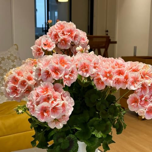 geraniensamen, gartenblumen mehrjährig balkongewächshäuser hochbeete für garten gartenpflanzen exotische zimmerpflanzen winterhart alte sorten schnittblumen balkonblumen kübelpflanzen 600pcs