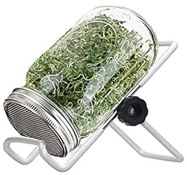 Monetais Mason Jars Kit de Tarro de germinación Juego de germinación de Semillas con Soporte de Tapa para Cultivar brotes de Frijol de Alfalfa y brócoli 500 ml Mason Jars con Tapas