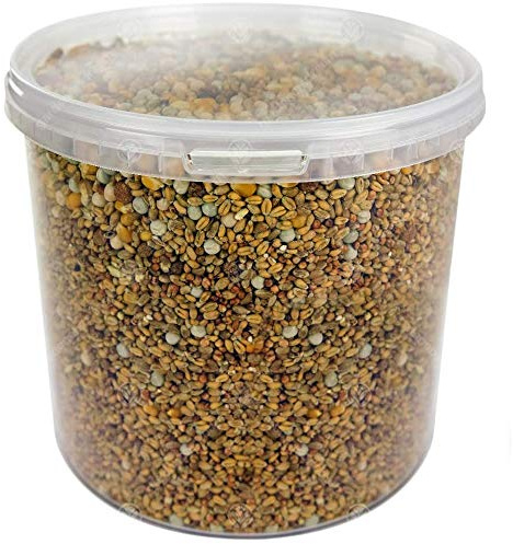 GardenersDream Four Seasons Pigeon Corn | Premium Grade Natural Food Mix | Rich in Nutritious Oils, Vitamins and Minerals | Perfect Year-Round Wild Bird Seed Feed | High in Energy & Protein (1L Tub)