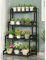 OKATOR Scaffale per Piante Alto in Metallo a 4 Livelli per Piante Multiple, Portavaso per Fiori da Interno, Scaffale per Fiori Scaffale per Piante per Giardino Esterno Balcone (Size : 100x50x135cm)