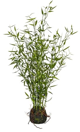 creativ home Kunstpflanze Bambus Miniblatt ca. 60cm im Moosballen. Künstlicher Bambus, Moderne Dekoration