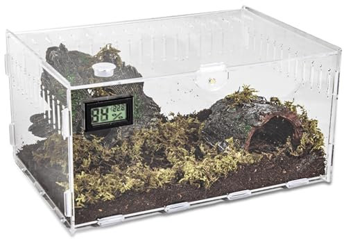 Acryl Terrarium: Reptilien Fütterungsbox 30 * 20 * 15cm, Transparent Mini Terrarium für Schnecken, Spinnen und Reptilien