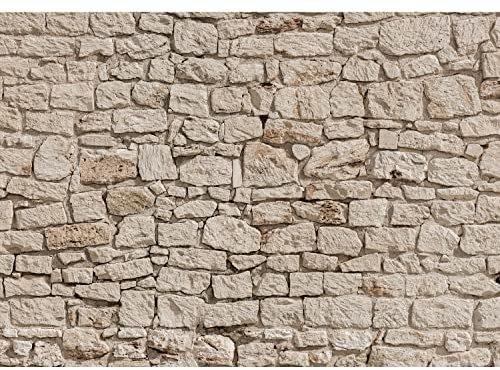 Runa Art Papier peint intissé 396 x 280 cm mur de pierre | Toison Décoration Murale Salon Chambre á Coucherr | Fabrication Allemande | marron 9454012a