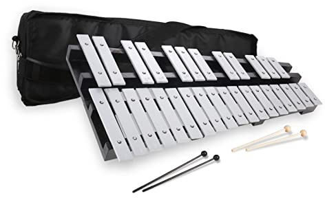 Heuyrao 30 Notes Foldable Glockenspiel Xylophone, Percussion Instrument Kit for Beginner- Includes 4 Mallets and Carrying Bag