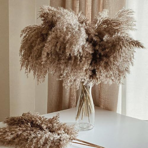 ROOLLYA 17 Inch 20 Stems Natural Pampas Grass Decor - Tall Fluffy Pompas Grass for Floor Vase - Boho Decor Home Wedding Event Decor, 2404-c15-30brown-45cm