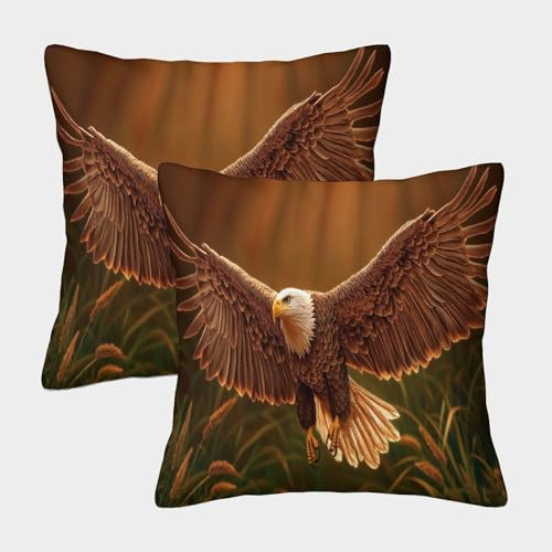 kaiyun Águila Fundas De Almohada Volando con alas Cojín Decorativo para Sofá Decoración Coche 45x45cm 2 Paquetes