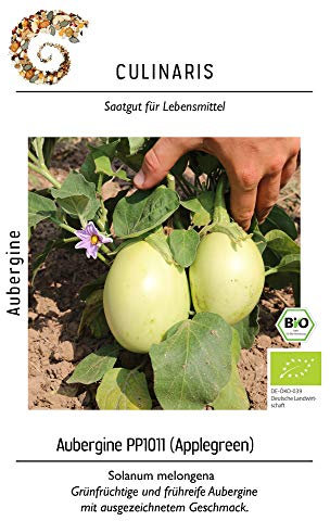 Culinaris 98 Aubergine Applegreen (BIO Auberginensamen)