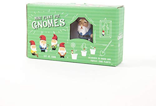 Gift Republic GR450112 Gnomes Plant Pot, Multi-Colour, 8.0 cm*14.0 cm*3.5 cm