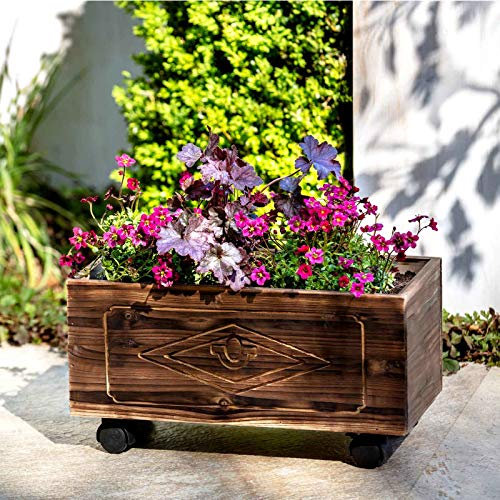 HAC24 Mobiler Pflanzenwagen aus Holz Länge 44 cm Pflanzkasten Rollen Blumenrollwagen Blumenwagen Blumen Pflanzen Rollwagen Blumenkasten