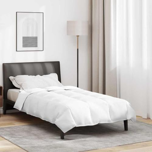 Générique Duvet d'hiver Blanc 140 x 200 cm Plume,Maison & Jardin,Linge,Literie,Dessus-de-lit & couettes,Blanc,2.24 KG,42007652