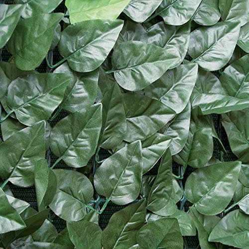 Tenax Divy Laurus Net siepe Sintetica in Poliestere con Rete Tessuta schermante, Verde, 1,50x3 m