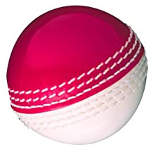 GM Skills Balle de cricket Rouge/Blanc Junior
