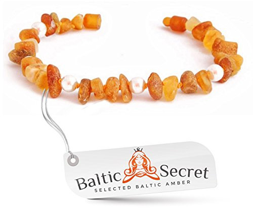 Baltic Secret Selected Baltic Amber Bernsteinkette Hund | Bernsteinhalsband für Hunde & Katzen | Hundehalsband I Natürliches Halsband Hund aus echt Bernstein mit Perlen
