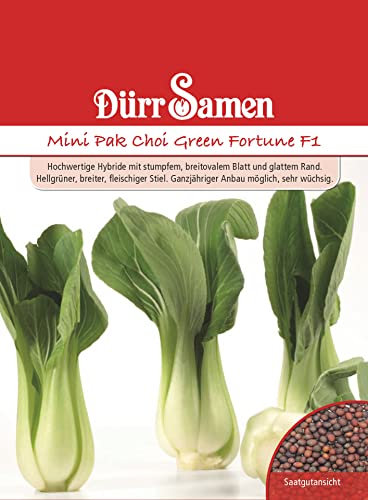 Dürr-Samen - Asia-Salat Green Fortune F1 Saatgut