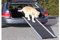 Trixie 3938 Klapp-Rampe, Aluminium/Kunststoff/Gummi, 38 × 155 cm, 6,3 kg, schwarz